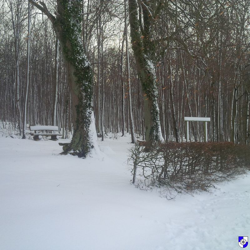 winterimpressionen012