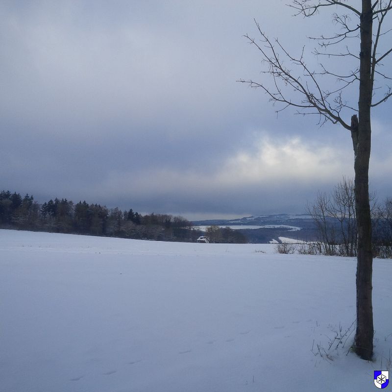 winterimpressionen015